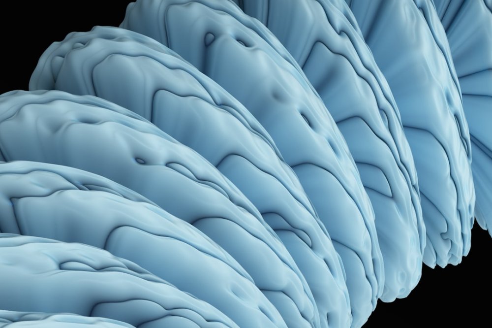 Изображение brain neurons, mathematical thinking, cognitive development, mental calculation