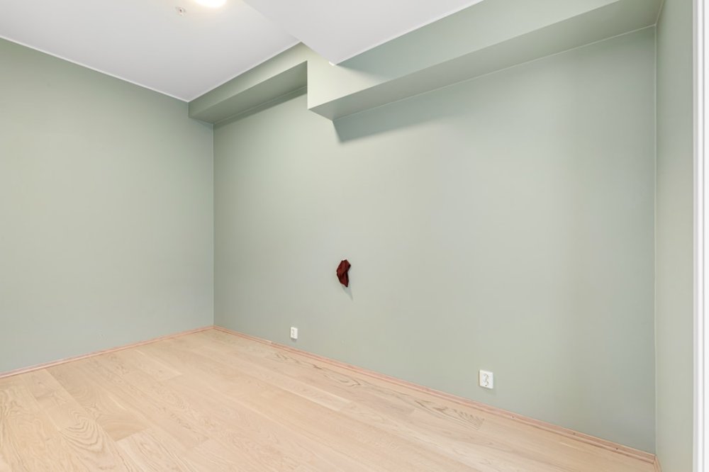 Изображение paint roller wall, interior painting, paint bucket, room renovation
