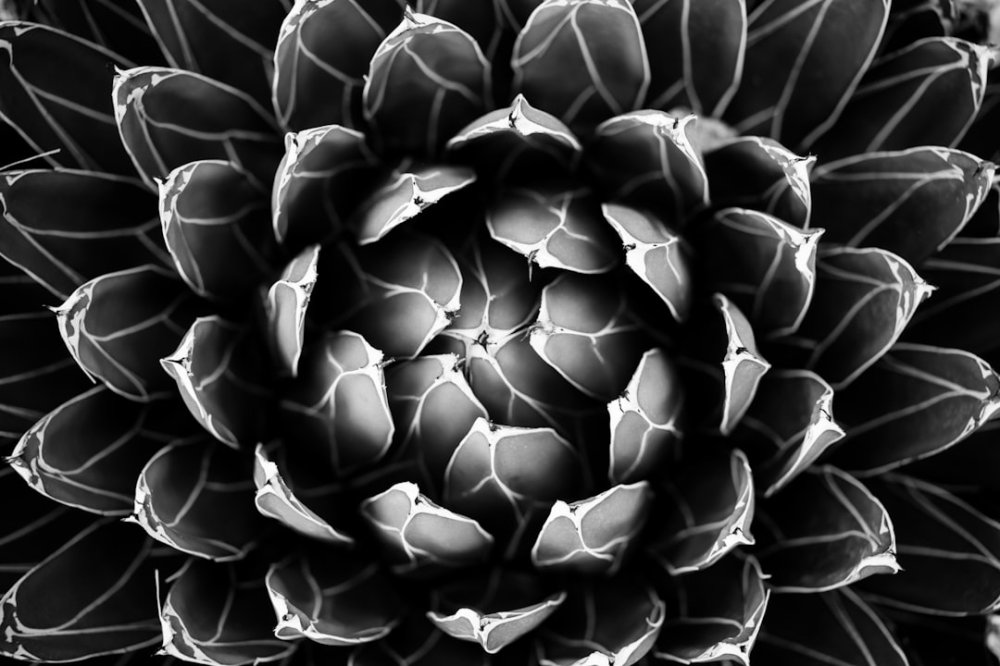 Пример symmetry patterns, mirror reflection, geometric symmetry, snowflake crystal